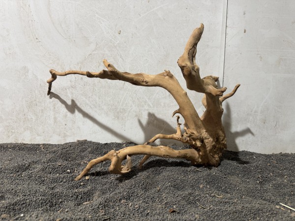 SW28 Spiderwood ca B44xH30cm