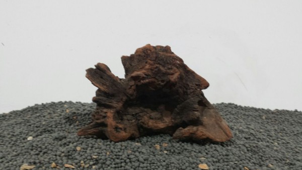 Mekong Driftwood N55 12x9cm