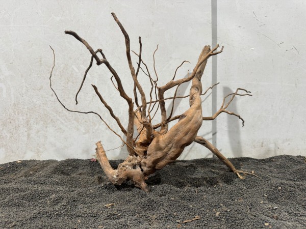 SW 16 Spiderwood ca B36xH30 cm