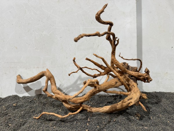 SW45 Spiderwood B40xH26 cm