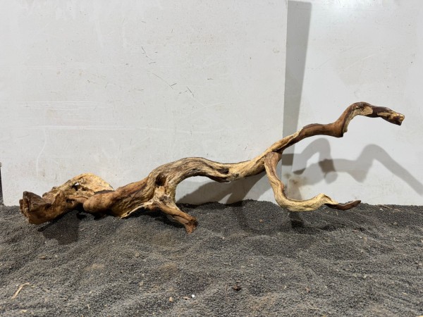 SW3 Spiderwood B76xH26 cm