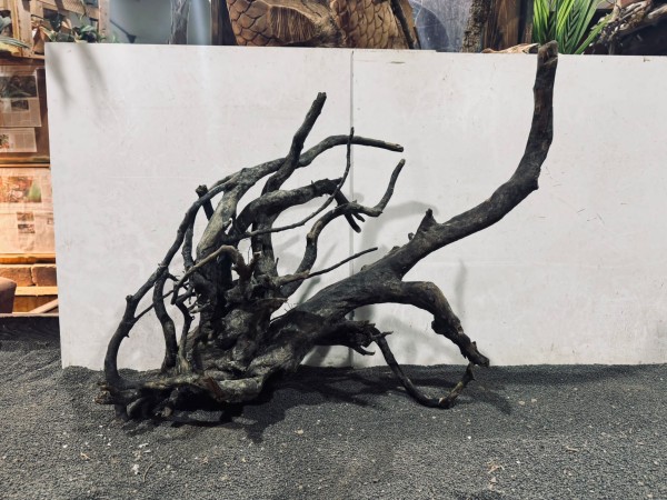 B39 Black Spiderwood ca B63xH54 cm