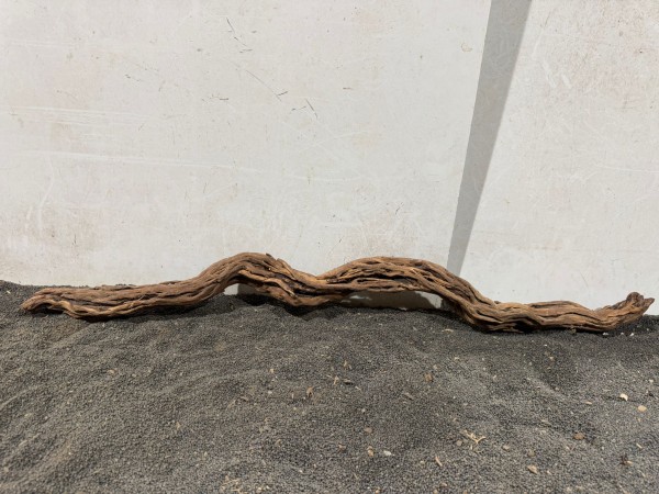 DS24 Dragon Skin Wood ca. 89 cm Wurzel