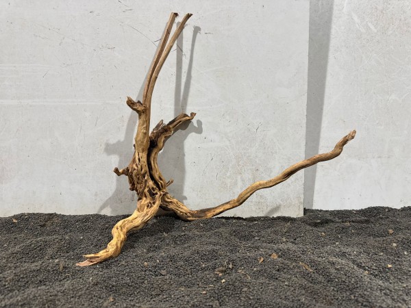 SJ17 Spiderwood Jungle ca B36xH36 cm