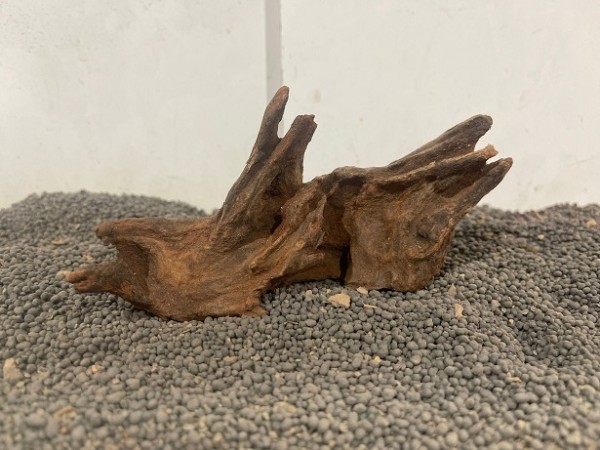 Mekong Driftwood N15 14cm