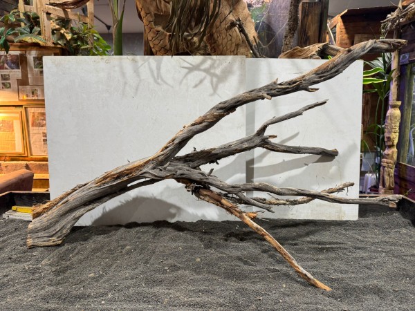 G7 Ghostwood ca B106xH59 cm