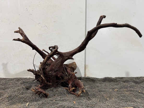 Black Moorwood 5 B51xH31 cm