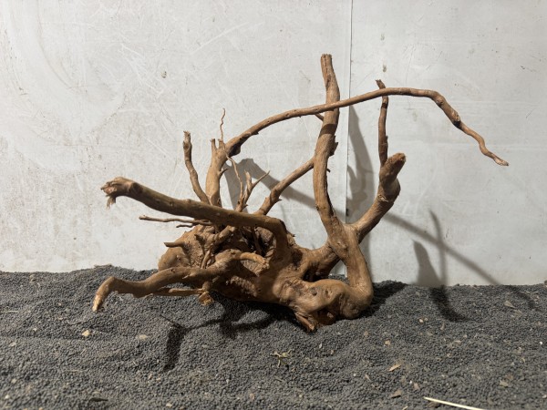SW54 Spiderwood B36xH32 cm