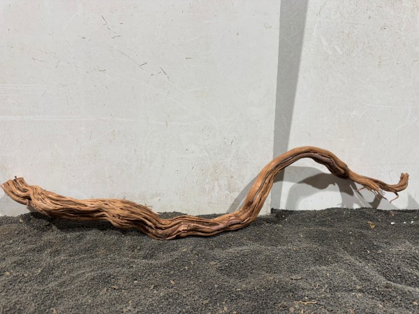 DS14 Dragon Skin Wood ca. 79 cm