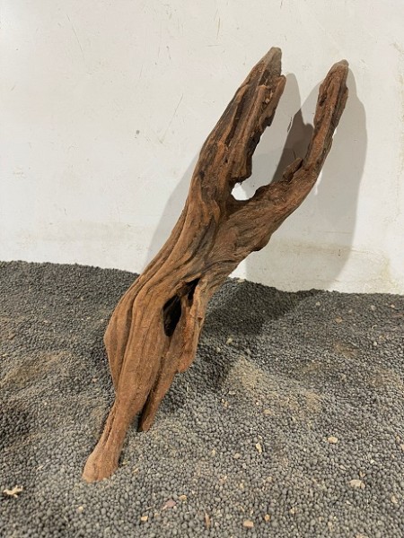 Mekong Driftwood 13 ca. 36 cm