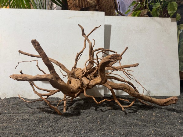 SW23 Spiderwood B85xH47 cm