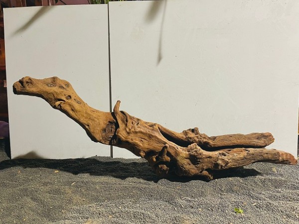 Red Driftwood R11 B78xH34 cm