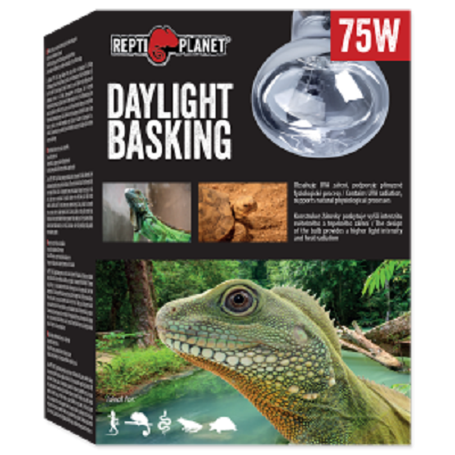 Daylight Basking Wärmespot 75W