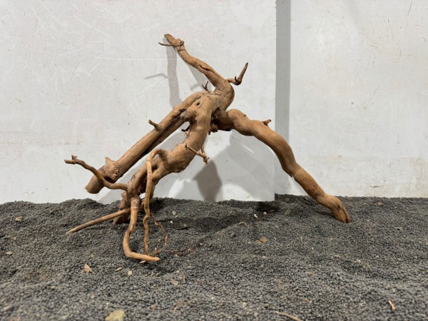 SW39 Spiderwood B39xH28 cm