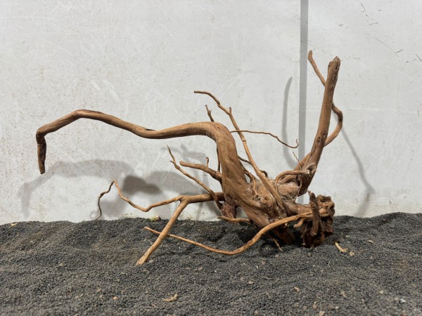 SW18 Spiderwood B48xH30 cm