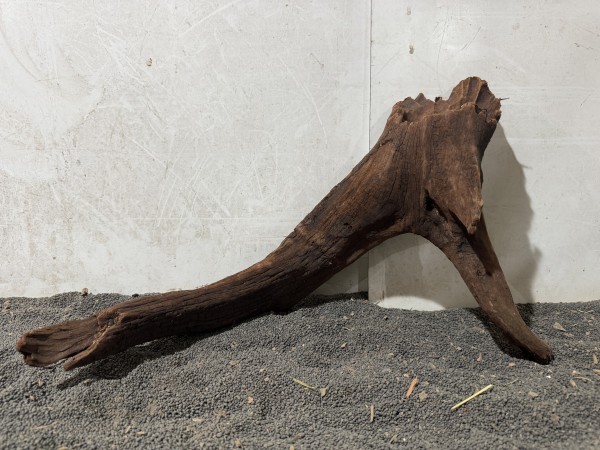 Mekong Driftwood X14 ca. B46xH28 cm