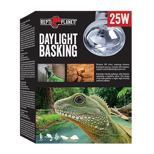 Daylight Basking Wärmespot 25W