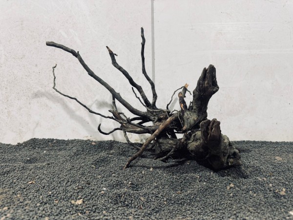 B37 Black Spiderwood ca B37xH25 cm