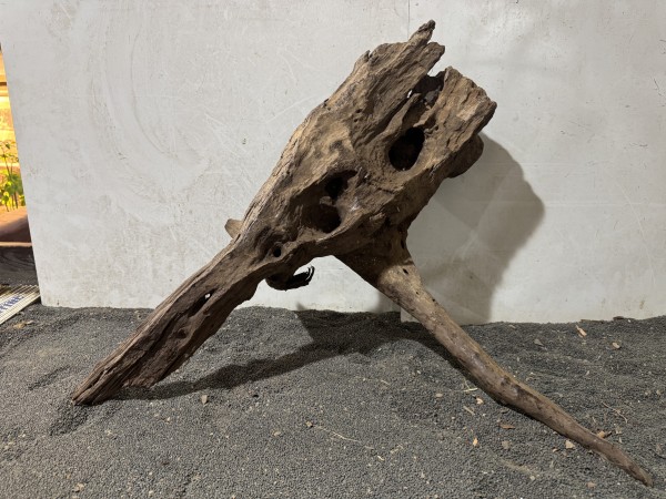 Mekong Driftwood 7 ca. B63xH45 cm