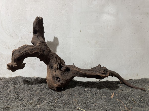 Mekong Driftwood 14 ca. B69xH38 cm