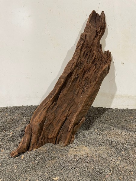 Mekong Driftwood 5 ca. B23xH31 cm