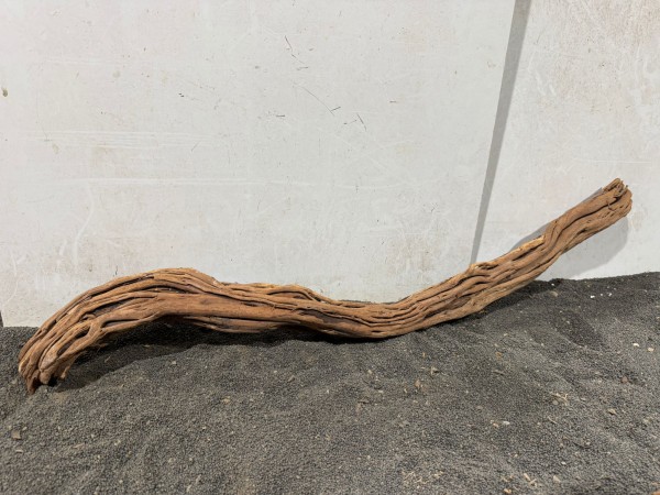 DS22 Dragon Skin Wood ca. 94 cm Wurzel