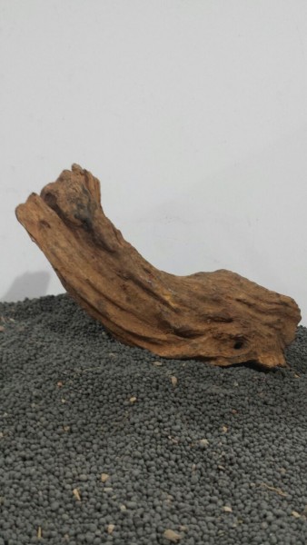 N13 Mekong Driftwood Nano Wurzel 7x17cm
