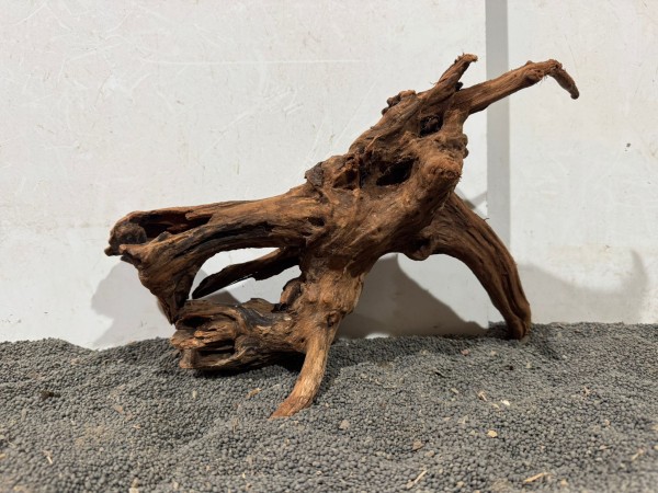 Mekong Driftwood X26 ca. B34xH23 cm