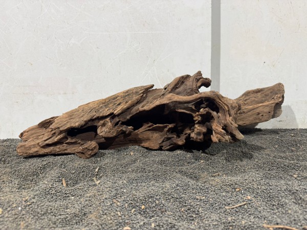 Mekong Driftwood 20 ca. B54xH15 cm