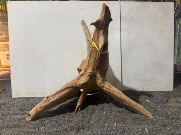 Teakholz XL4 ca B54xH47 cm
