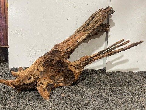 Red Driftwood R16 B53xH33 cm