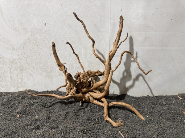 SW49 Spiderwood B42xH33 cm