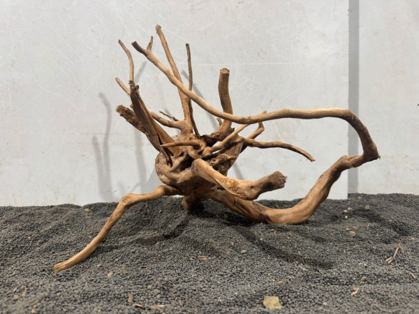 SW22 Spiderwood ca. B35xH29 cm