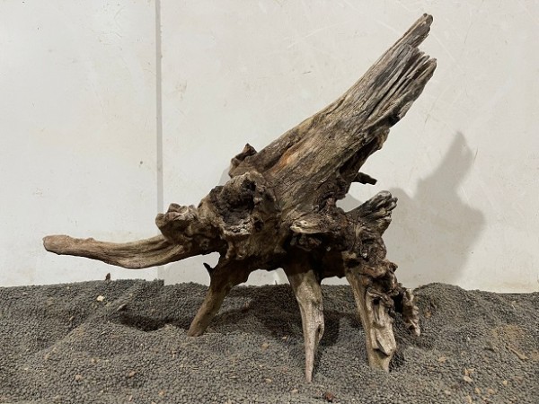 Ghost Driftwood 5 B34xH33 cm