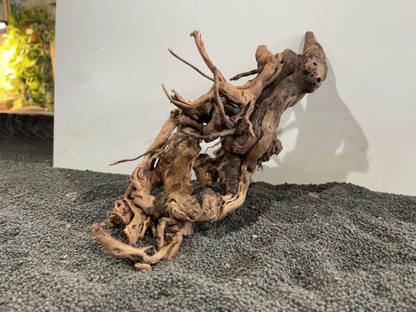 DS4 Dragon Skin Wood ca. 31cm Aquarium Terrarium Wurzel