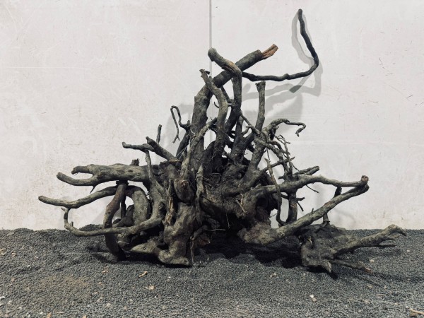 B12 Black Spiderwood ca. B58xH50 cm