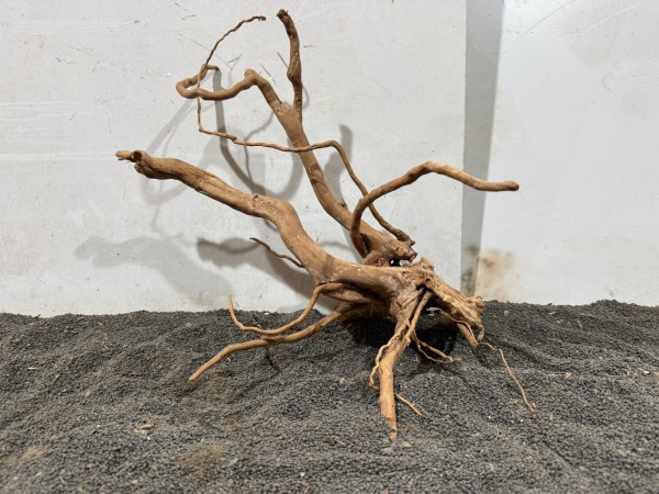 SW24 Spiderwood B36xH33 cm