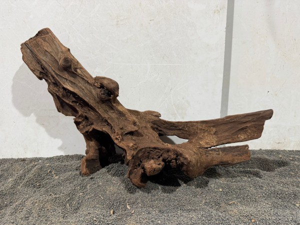 Mekong Driftwood X11 ca. B48xH30 cm