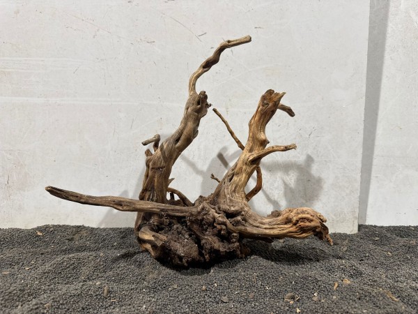 SJ20 Spiderwood Jungle ca B33xH30 cm