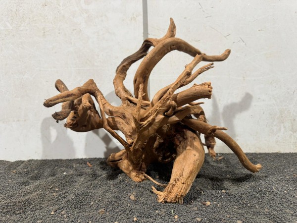 SW 16 Spiderwood ca B41xH33 cm