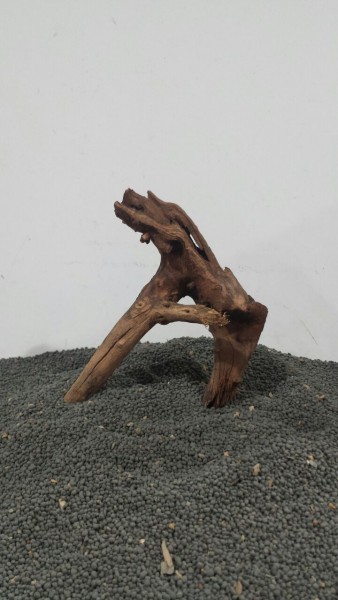 N5 Mekong Driftwood Nano Wurzel 14x15cm
