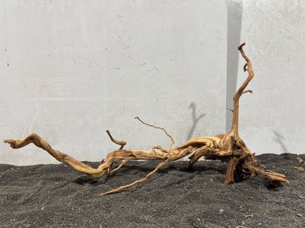 SJ21 Spiderwood Jungle ca B60xH35 cm