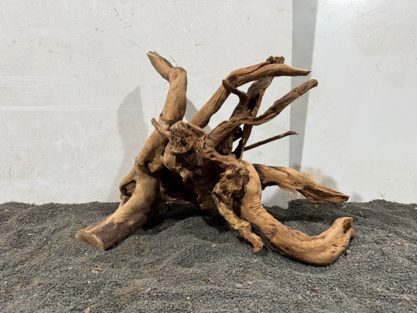 SW 15 Spiderwood ca B42xH30 cm