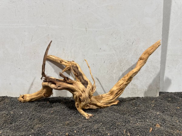 SJ16 Spiderwood Jungle ca B36xH18 cm