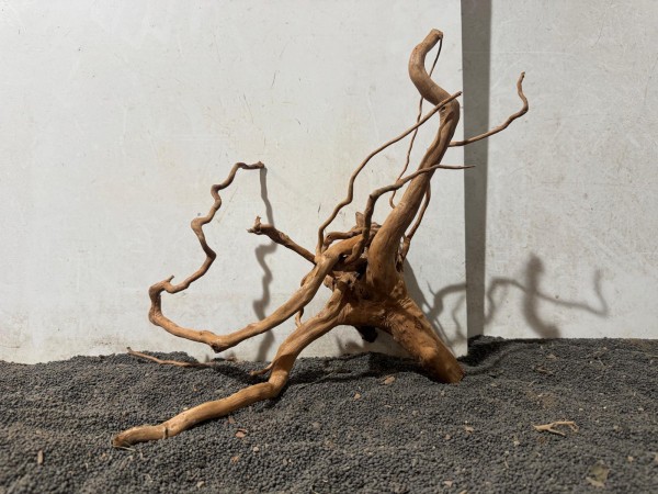 SW25 Spiderwood ca. B39xH33 cm