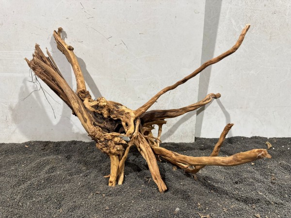 SJ18 Spiderwood Jungle ca B50xH34 cm