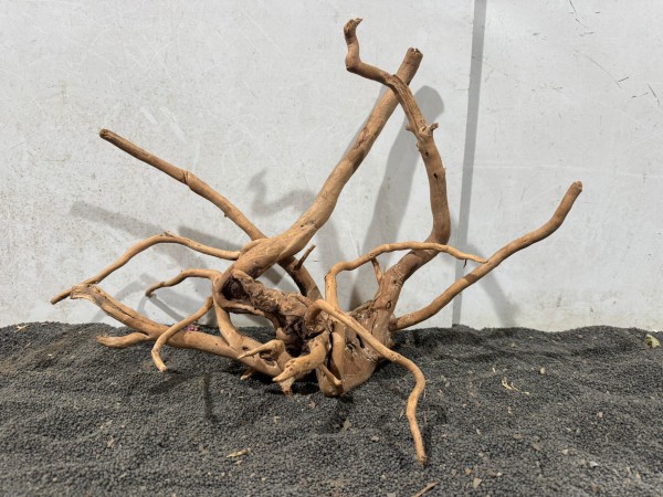 SW45 Spiderwood B47xH33 cm