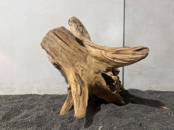 Teakholz XL1 ca B34xH33 cm