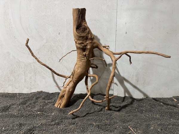 SW55 Spiderwood B47xH38 cm