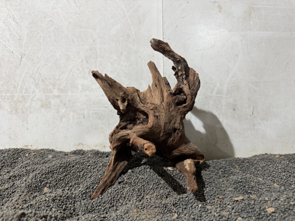 Red Driftwood R24 B15xH18 cm